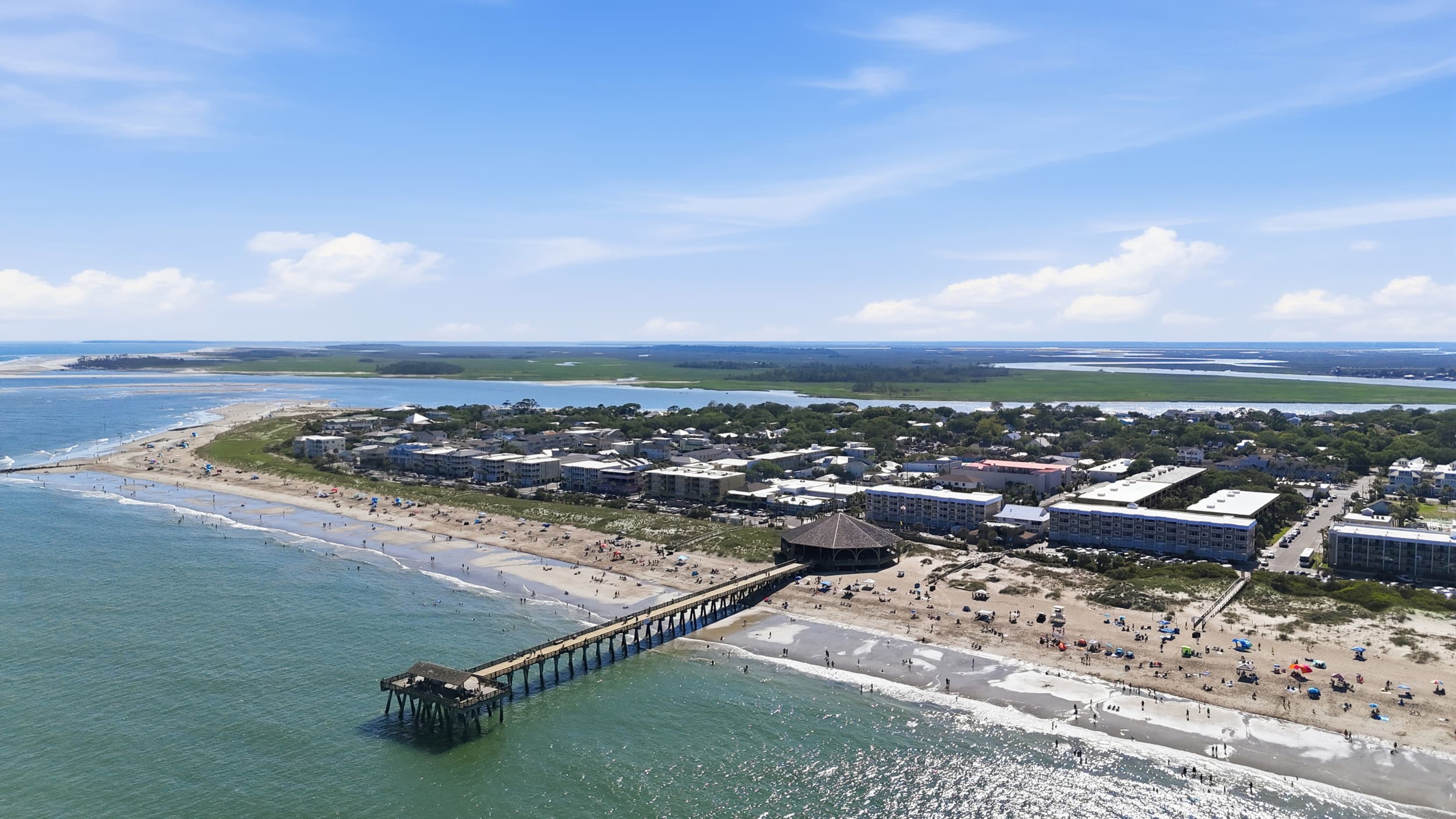 Tybee Shark Teeth Tours